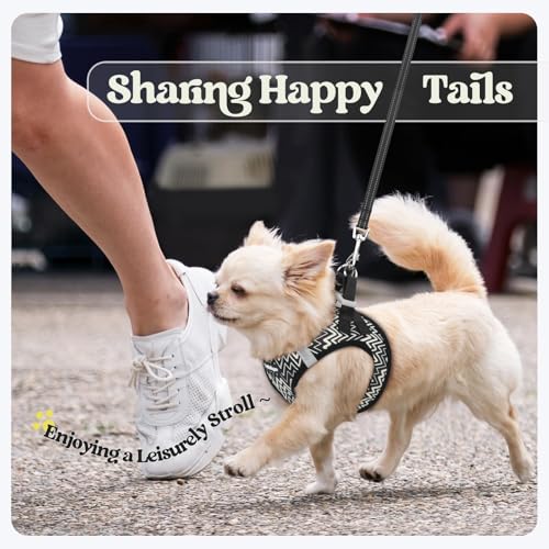 Dog Harness Medium Sized and Leash Set (Black Zigzag / L (chest: 18.2 - 20.5"))