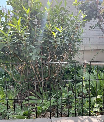 Black Animal Barrier Fence 16.5 in (16.5 in(H)x 10.4 ft(L) / Black)