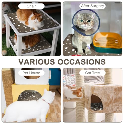 4 Pack Self Warming Cat Bed Self Heating Cat Mat Star Pattern Soft Dog Crate Pad Thermal Pet Mat Anti Slip Kennel Dog Washable Warming Bed for Outdoor Indoor (12 x 12 Inch / Brown)
