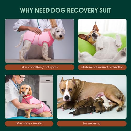 Dog Recovery Suit (Angel Pink / XX-Large)