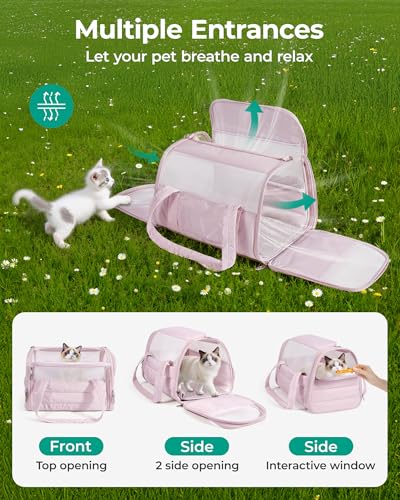 Cat Carrier Soft (Black / 19.3"L x 13.0"W x 13.0"H)