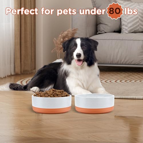 Ceramic Dog Bowls 2 Pack (7.3 in - 5.3 cups / Pattern White - Only Bowls*2)