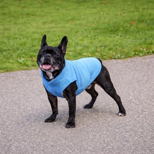 Dog Fleece Vest Sweater with Leash Ring (XXL (25-35lbs) / Blue)