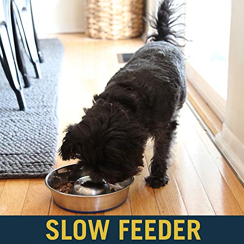 OurPets DuraPet Slow Feed Premium Stainless Steel Dog Bowl (Small (2 Cups))