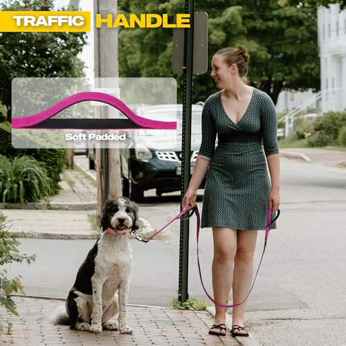 10 FT Heavy Duty Dog Leash (10 Feet (Pack of 1) / Rose)