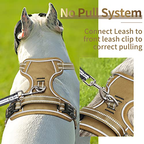Dog Harness Dog Harness for Small Medium Large Dogs No Pull Adjustable Padded Reflective Harness with Handle for Walking Training (XS / Brown)