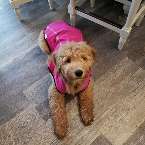 Dog Raincoat Adjustable Waterproof Reflective Rain Jacket for Small Medium Large Dogs (XXS Chest 16"-19" / Hot Pink)