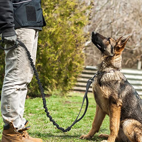 Tactical Dog Leash (Max: 5.2ft / Black)