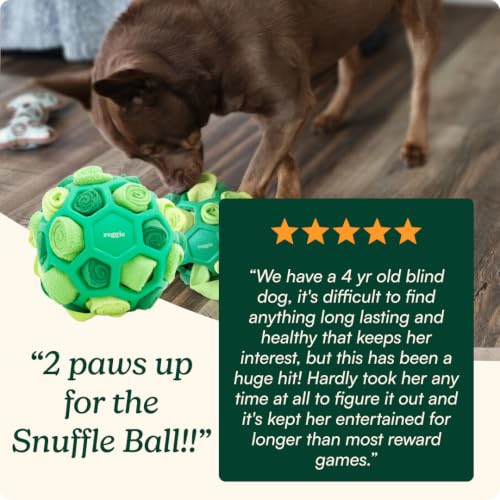 Snuffle Ball for Dogs
