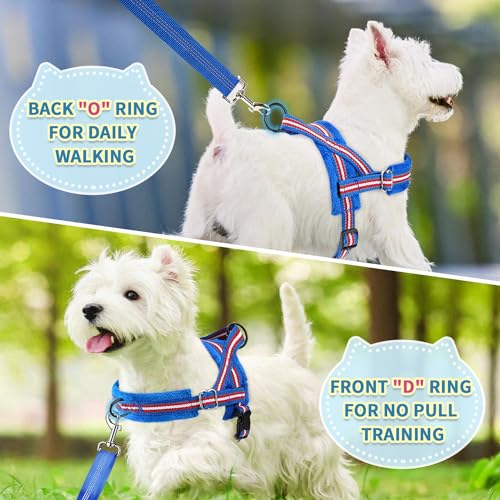 No Pull Small Dog Harness and Leash Set with Front Clip (XX-Small / Dark Blue)