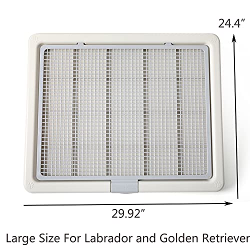 Large 76X62CM Pet Training Tray (29.92x24.4 Inch (Pack of 1))