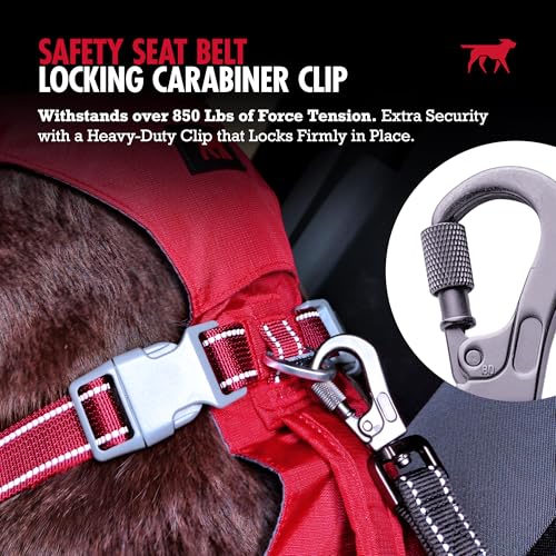 Dog Seat Belt (Red)