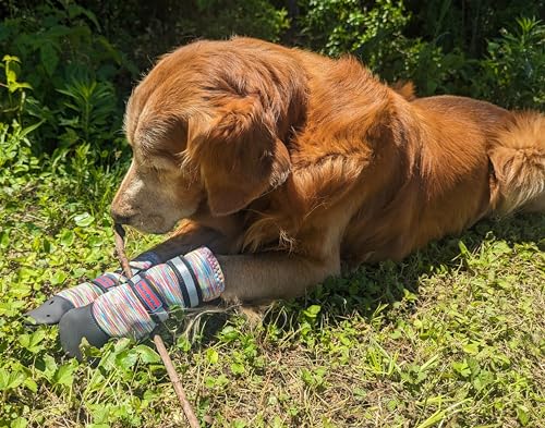 All Weather Neoprene Paw Protector Dog Boots with Reflective Straps in 5 Sizes! (Large)