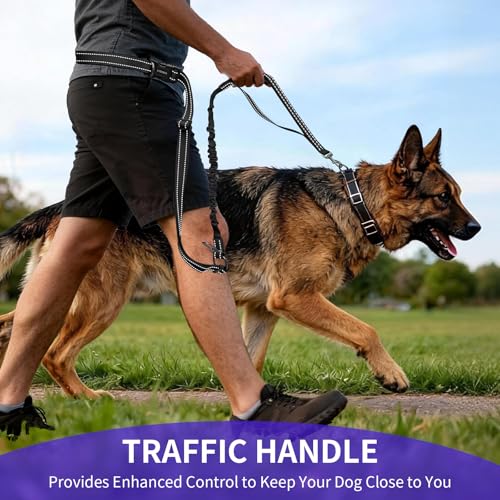 Hands Free Dog Leash by Kazazoo (BLACK Bungee / M)