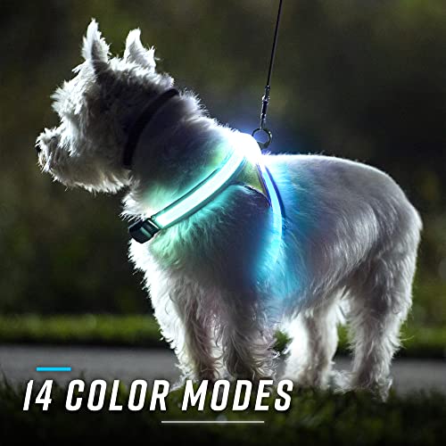 LightHound Light Up Reflective Dog Harness and Wrist Light (Large)