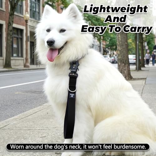 14 Inch Traffic Dog Leash with Padded Handle (Black)