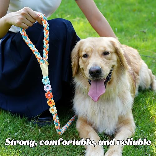 5FT Braided Cotton Rope Leash for Small (Fiesta Twist)