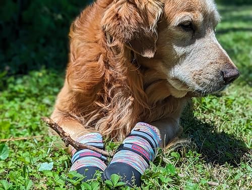 All Weather Neoprene Paw Protector Dog Boots with Reflective Straps in 5 Sizes! (Small)