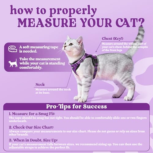 Cat Harness and Leash Set (Xs / Purple)