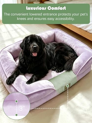 Orthopedic Dog Bed with Sides (53.0"L x 42.0"W x 8.0"Th / Purple)