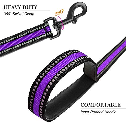Short Dog Leash (Wide-Purple)