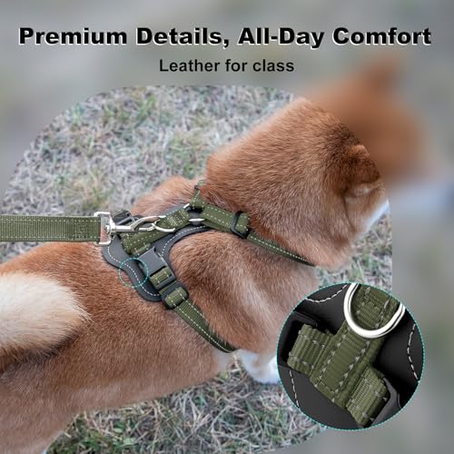No Pull Dog Harness with Leather Accents (S / Ranger Green)
