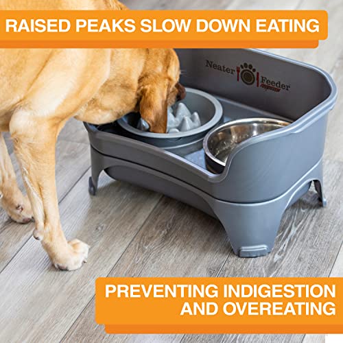 The Niner Slow Feed Bowl (Silver / 2 Cup)