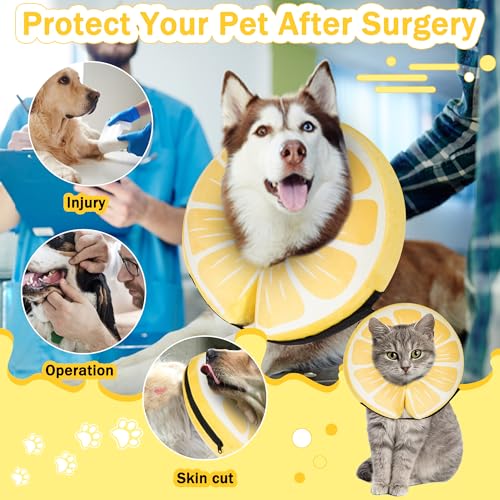 Inflatable Dog Cone Collar for Large Medium Small Dogs (Lemon / M+（neck 11"-14"）)
