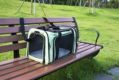 Soft Sided Carrier for Small Medium Cats Dogs (17.0"L x 11.0"W x 11.0"H / Green)