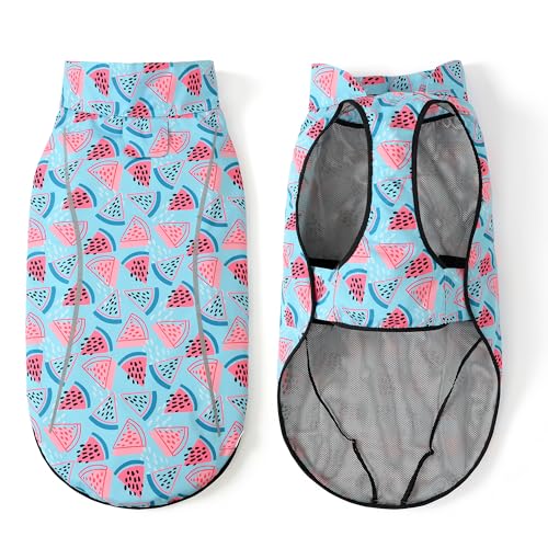 Dog Raincoat Adjustable Waterproof Reflective Rain Jacket for Small Medium Large Dogs (L Chest 32"-40" / Light Blue Watermelon)