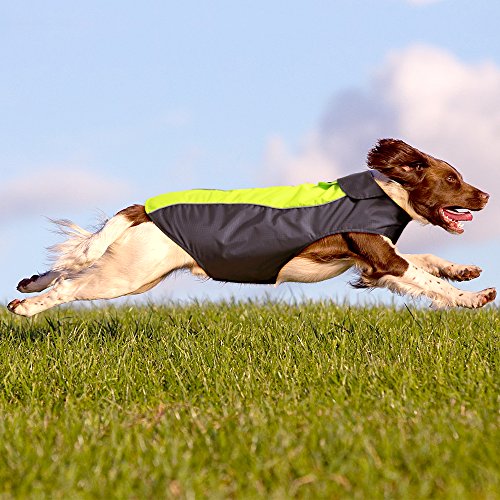 Dog Raincoat Waterproof Coats (Green-XXL)