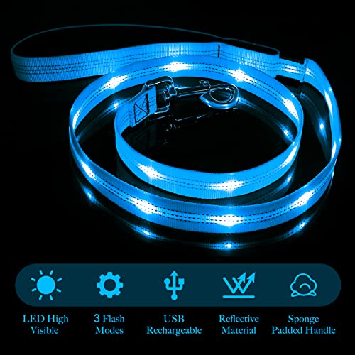 LED Dog Leash (BlueⅡ)