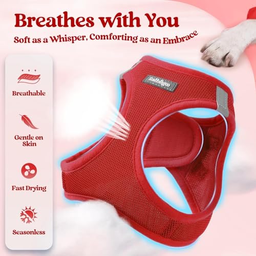 Dog Harness Medium Sized and Leash Set (Red / L (chest: 18.2 - 20.5"))