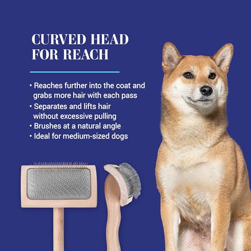 Mark VI Curved Back Slicker Brush for Dogs (Mark VI Medium Curved Back)