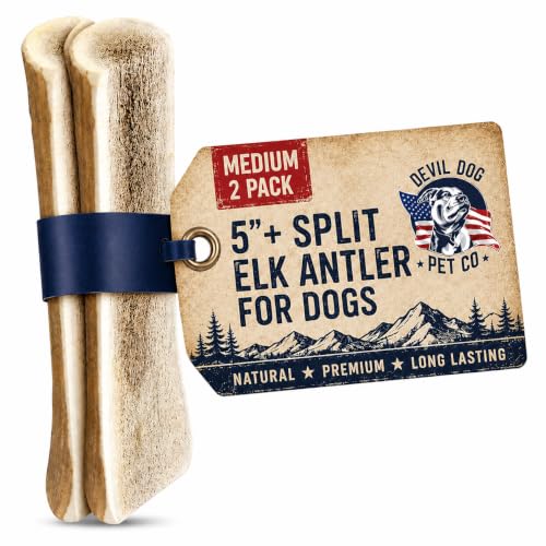 Split Elk Antlers for Dogs (split - Medium - 2 Pack)