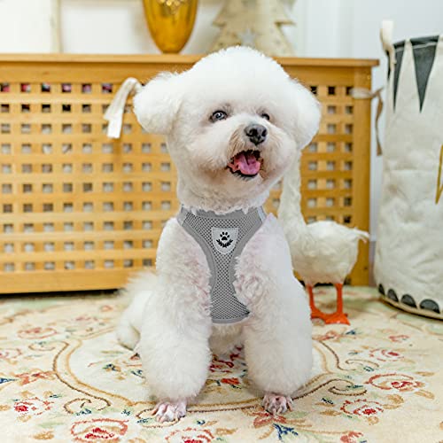Adjustable Dog Harness Collar and Leash Set Step in No Pull Pet Harness for Small Medium Dogs Puppy and Cats Outdoor Walking Running (Solid Grey / XS (CHEST 13"-14.5"))