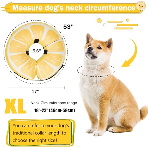 Inflatable Dog Cone Collar for Large Medium Small Dogs (Lemon / XL（neck 18"-23"）)