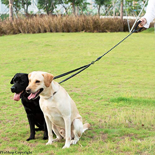 Double Dog Leash (Black / Large)