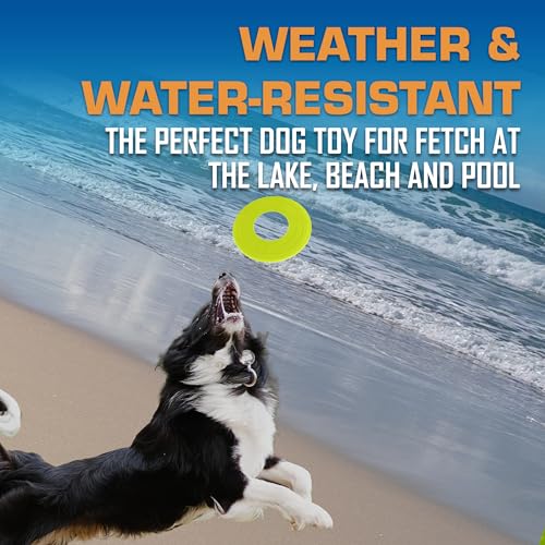 Atomic Flyer Outdoor Dog Toy (Green / 10 Inch)
