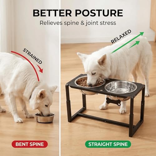 Metal Elevated Dog Bowls (8.8-14" | L/XL Dogs | 2×111oz Bowls)