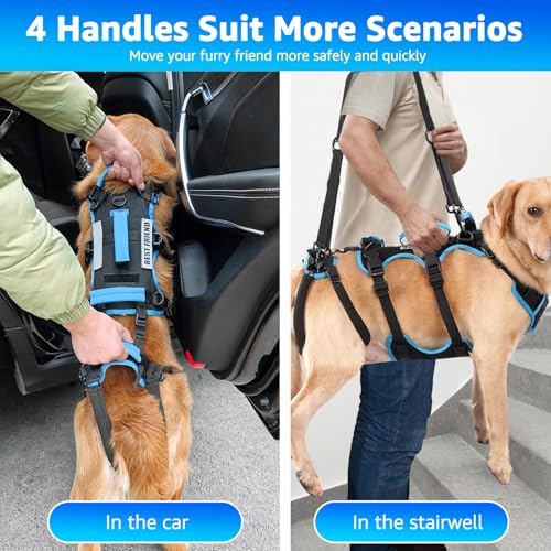 Dog Lift Harness for Large Male Dogs (Large / Black)