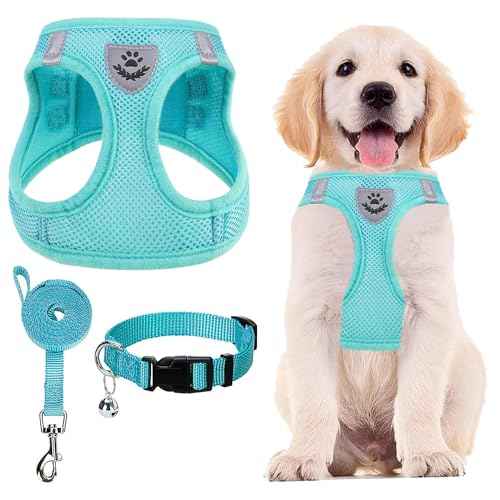 Dog Harness Collar and Leash Set No Pull for Small Medium Sized (Turquoise / M (CHEST 16"-18"))