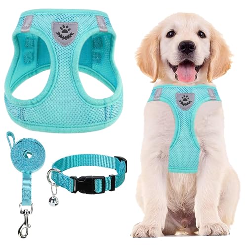 Dog Harness Collar and Leash Set No Pull for Small Medium Sized (Turquoise / L (CHEST 18"-20"))