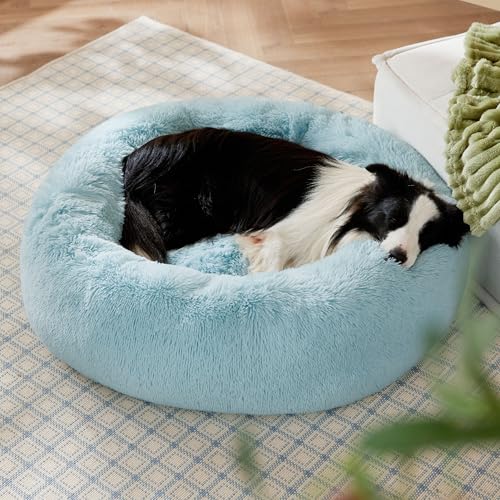Calming Dog Beds Large Sized Dog Donut Washable Pet Bed (36"L x 36"W x 10"Th / Aqua Blue)
