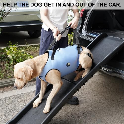 Dog Lift Harness (Large / Blue)