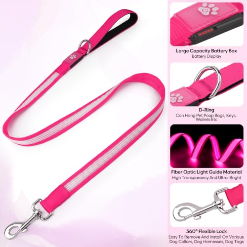 4 Ft Multi Color Light up Dog Leash (4 FT (Pink))