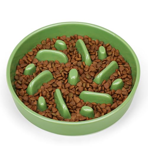 Ceramic Slow Feeder Dog Bowl (Maze - Green / 2 Cups)