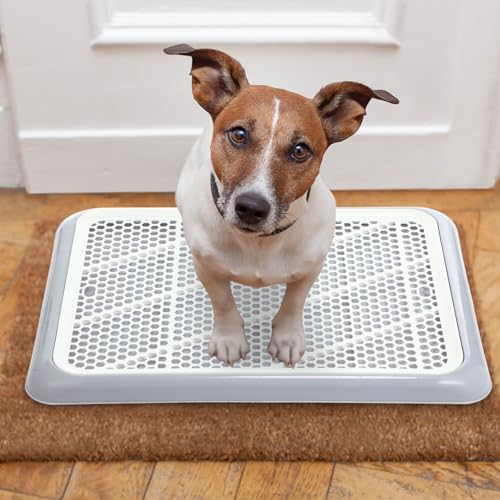1 Pcs Dog Potty Tray (Gray / 19.7 x 14.2 Inch)