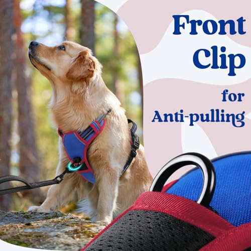 Dog Harness Small Sized (Small / Blue & Red)