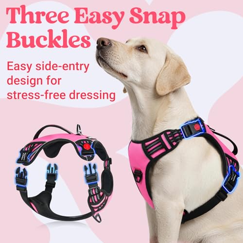 Large Dog Harness (Large / Pink)